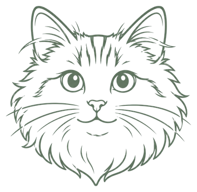 Line drawing of Pepper the cat